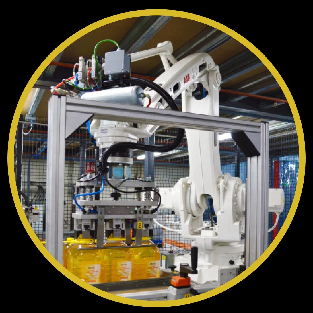 Olympic Oils automated bottling line at our Whiston facility